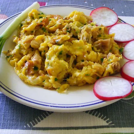 Kastely Panzio Ii. 게스트하우스 *